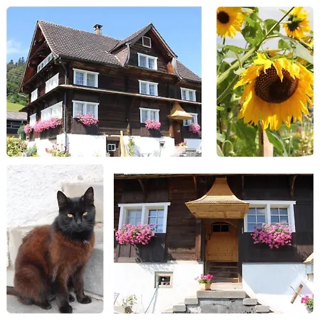 Scheftenau