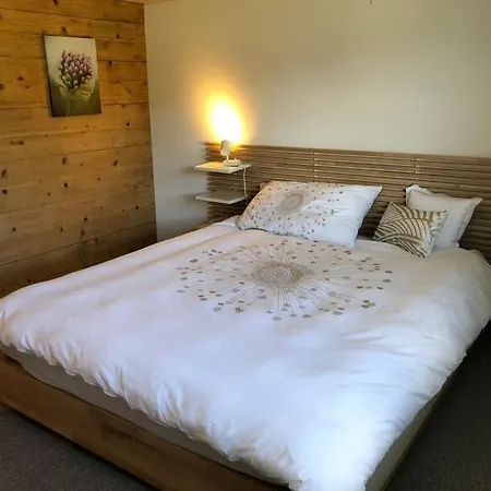Apartment Scheftenau Ebnat-Kappel