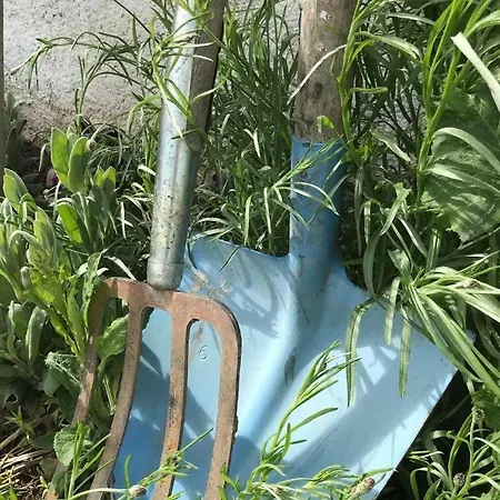 Scheftenau *