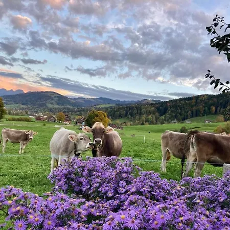 Scheftenau Ebnat-Kappel